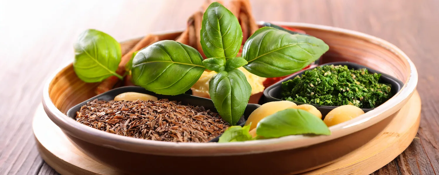 Basil Allergy: Understanding Symptoms, Diagnosis, and Testing